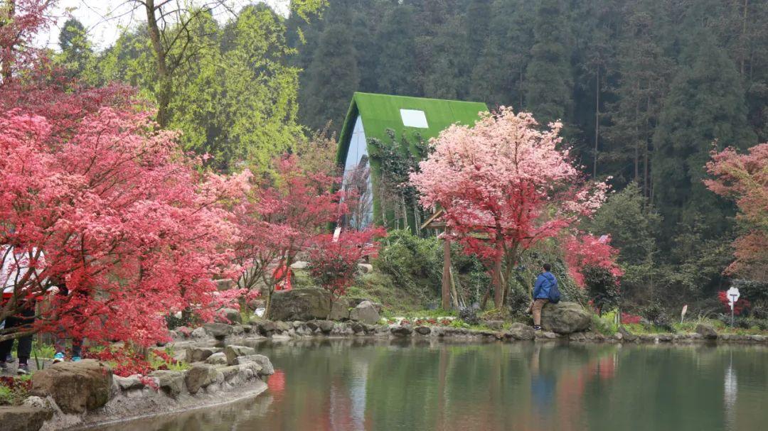 虫虫助手下载